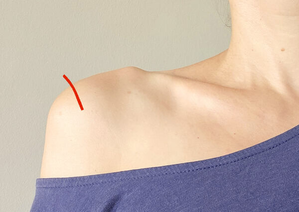 body measurement guide