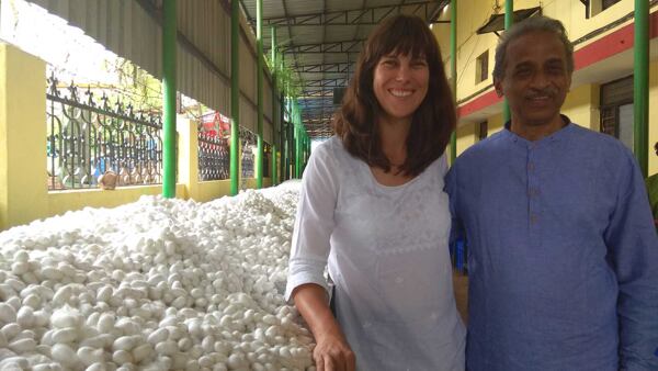 Mulberry silkworm cocoons