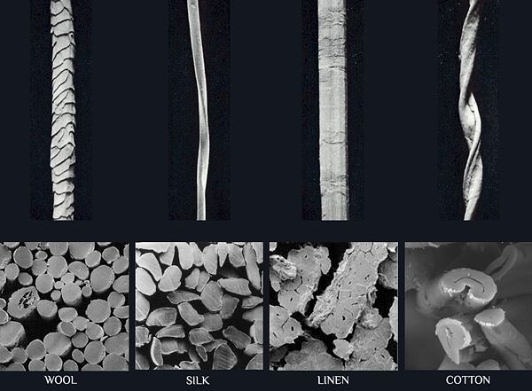 Natural silk fibers and other natural fibers under a microscope