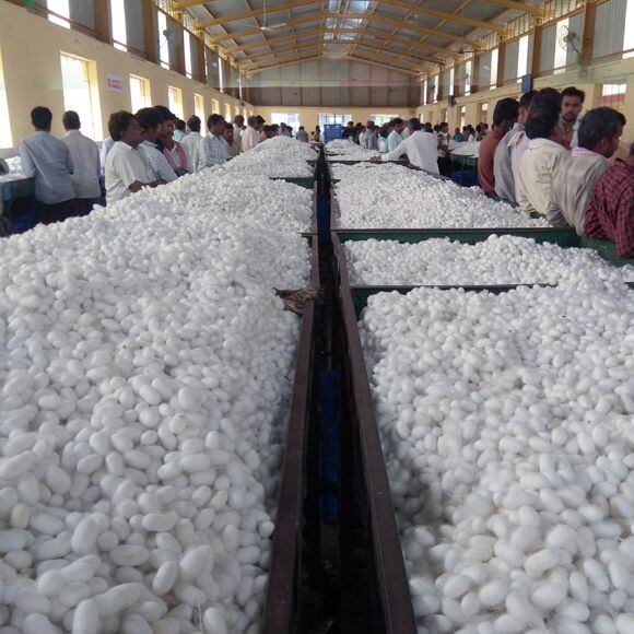 A view of one of the market halls where cocoons are traded for silk production