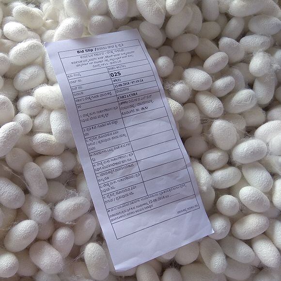 silk cocoons