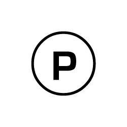 laundry symbol p