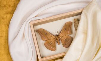 Real silk or not? Know what you're buying