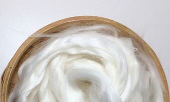 Ramie – the nettle with no sting